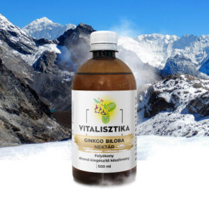 Ginkgo Biloba Nektár – 500 ml